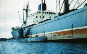 dolfijn Langszij,c@rol,pietbouwers,map251007.jpg