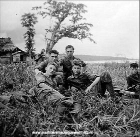 Wannie Afbeelding14-1.jpg