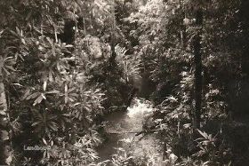 DirkvH42-001.JPG