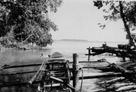 Copy (1) of Koos11.jpg