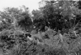 Carol/Koos Jungletraing.jpg