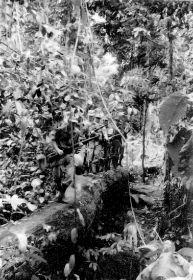 En dan maar weer eens de jungle in, en weer patrouille.carol/koos.jpg