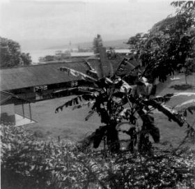 Even de palmenbomen fotograferen.carol/koos.jpg