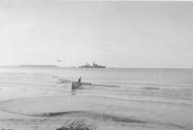 Copy (2) of Koos28.jpg