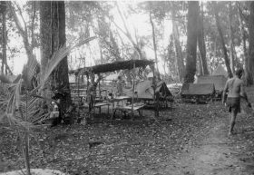 Copy (2) of Koos29.jpg