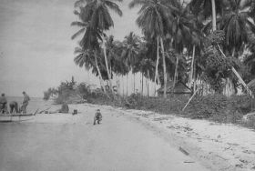 Copy (3) of Koos11.jpg