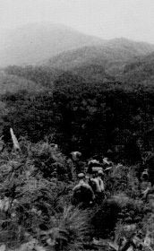 image-15 Manok 1961, Antoon,c@rol,map080908.jpg