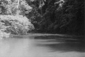 Kali bij basisbivak te Waigeo,c@rol/jan,map,071208.jpg