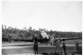 Manokwari kroonduif,c@rol/henk,map,080908.jpg