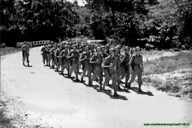 Dick vd Elshout manok17,carol,map,190109.jpg