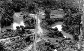 Pamy en de Noemy lopen hier vlak langs elkaar 1961-2 Manok.jpg